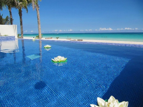 Casa Moskito image 6
